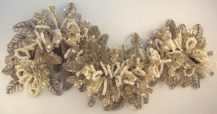Gold & Ivory Caterpillar Bracelet